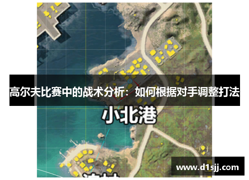 高尔夫比赛中的战术分析：如何根据对手调整打法