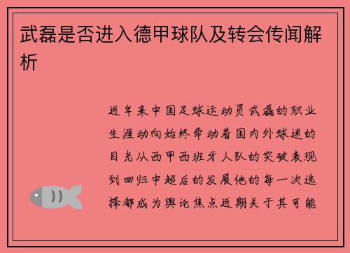 武磊是否进入德甲球队及转会传闻解析
